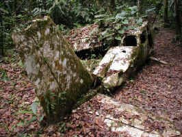 jungle plane wreck.jpg (140507 bytes)