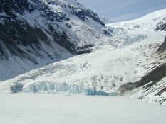 Bear Glacier.jpg (71698 bytes)