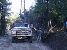 logging truck.jpg (65909 bytes)