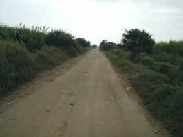road_to_caral.jpg (47396 bytes)